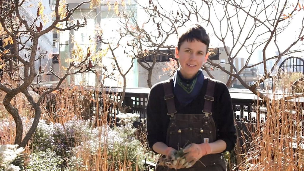 High Line gardener